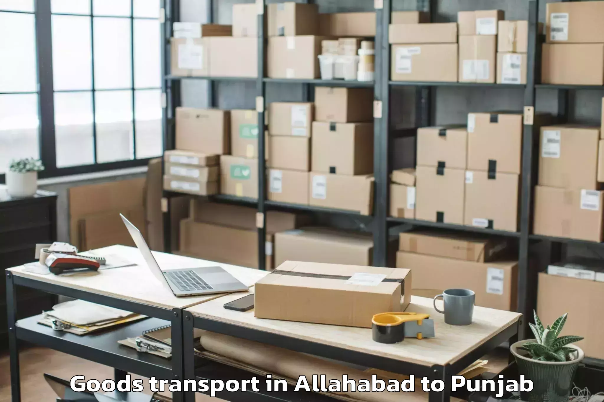 Quality Allahabad to Faridkot Goods Transport